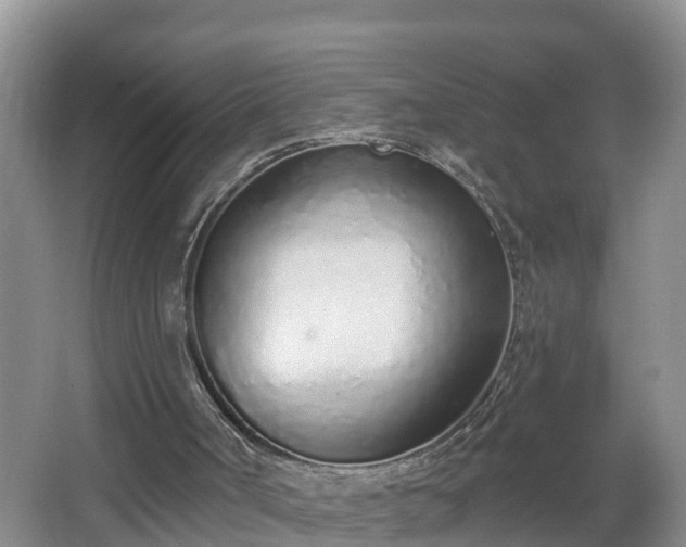 X0000067330002200604071337