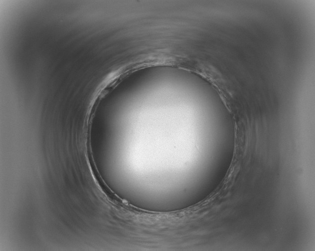 X0000067330003200604071337