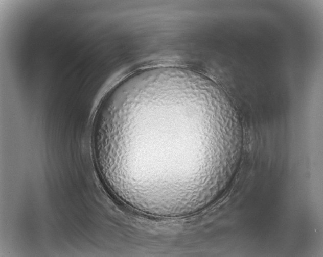 X0000067330004200604071337