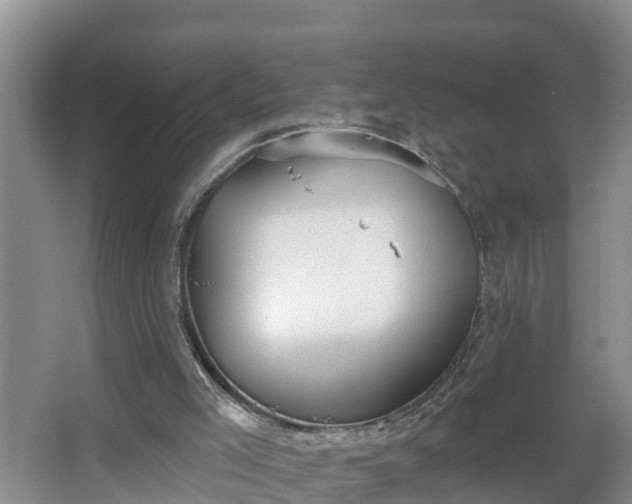 X0000067330005200604071337