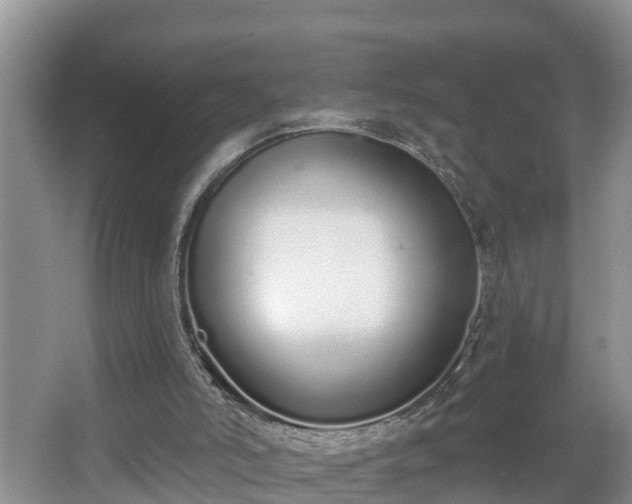 X0000067330006200604071337