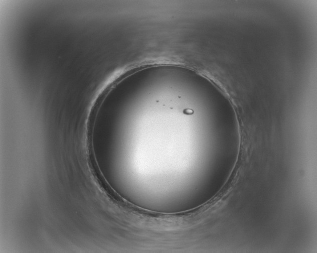 X0000067330008200604071337