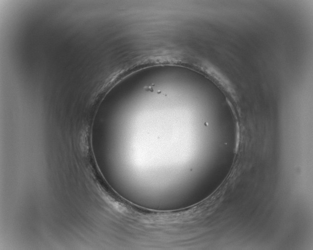 X0000067330009200604071337