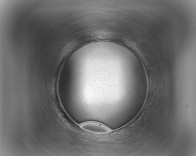 X0000067330010200604071337