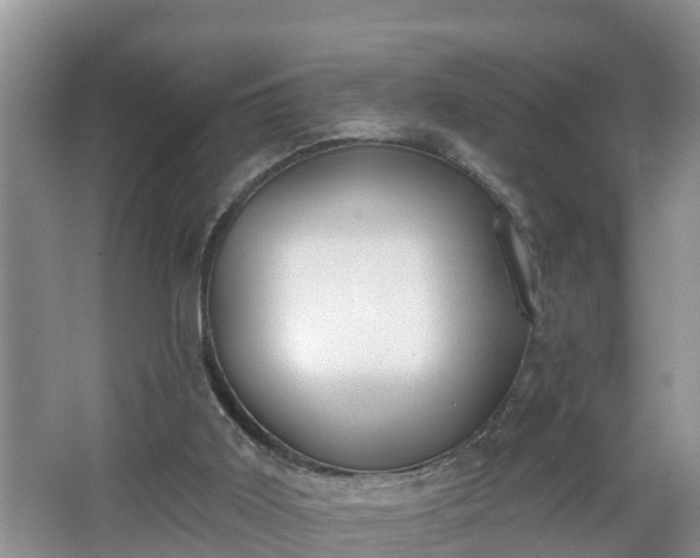 X0000067330011200604071337