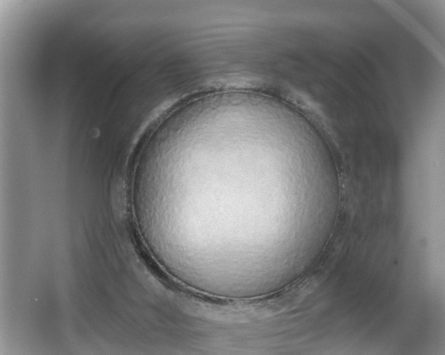 X0000067330012200604071337