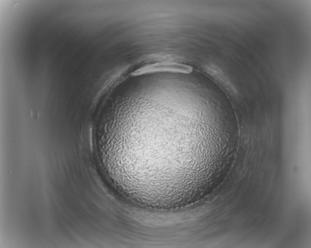 X0000067330014200604071337