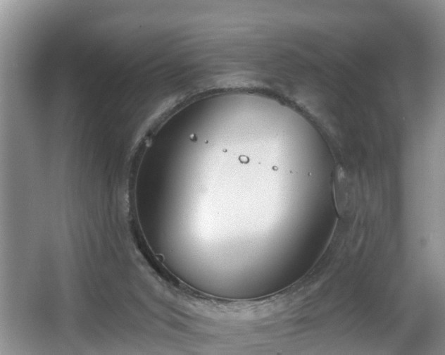 X0000067330015200604071337