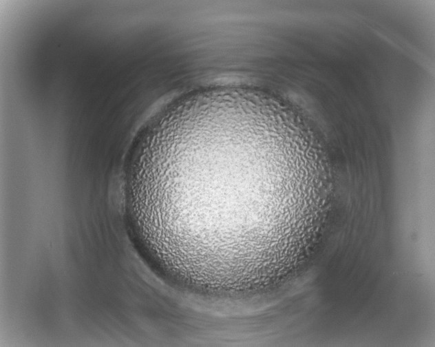 X0000067330016200604071337