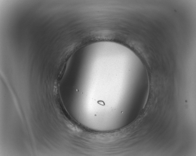 X0000067330017200604071337