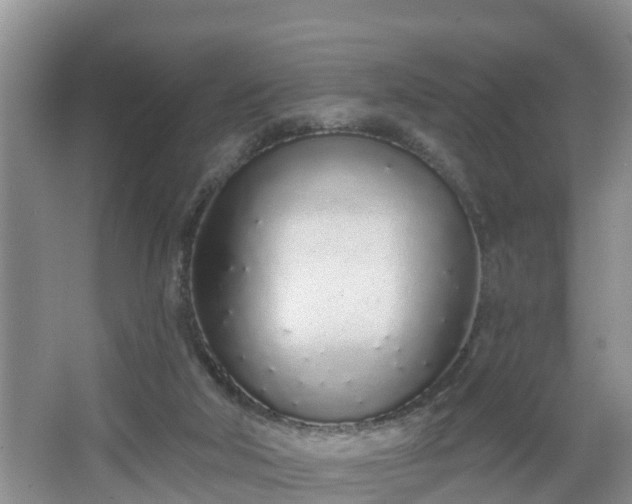 X0000067330018200604071337