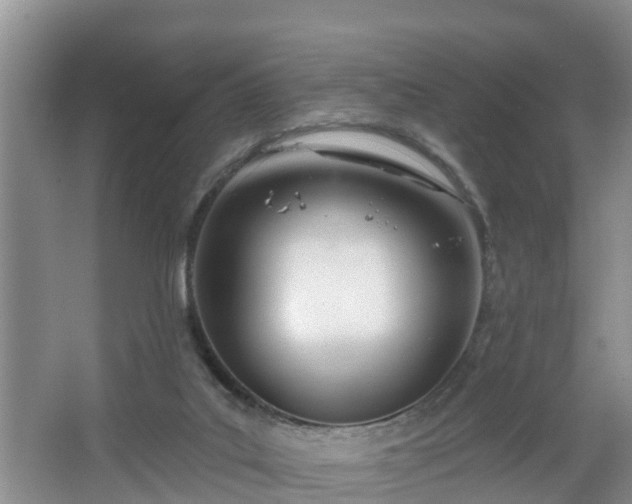 X0000067330019200604071337