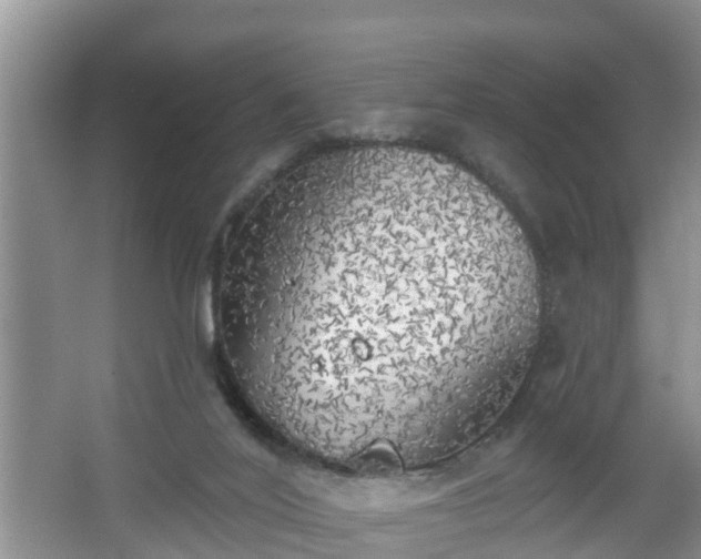 X0000067330020200604071337