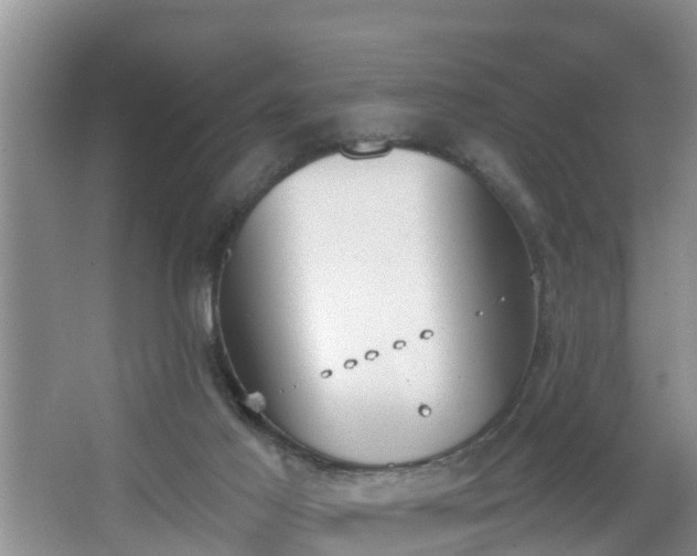 X0000067330021200604071337