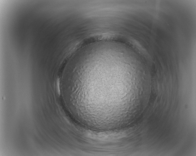 X0000067330022200604071337