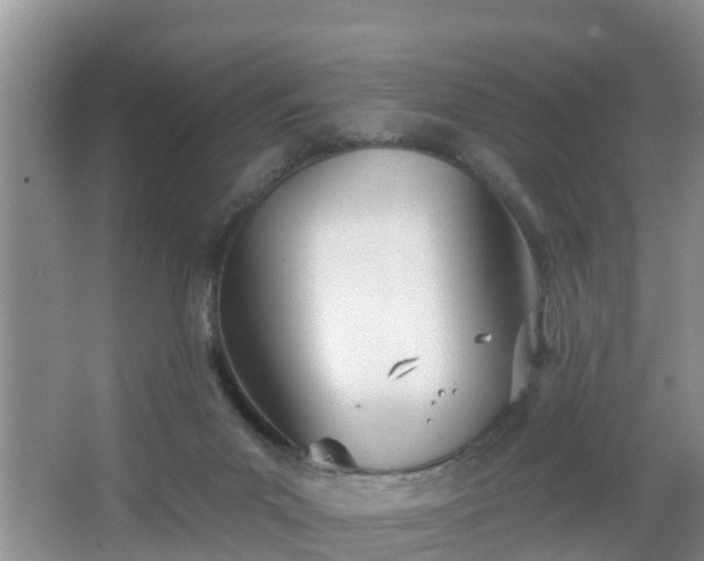 X0000067330023200604071337