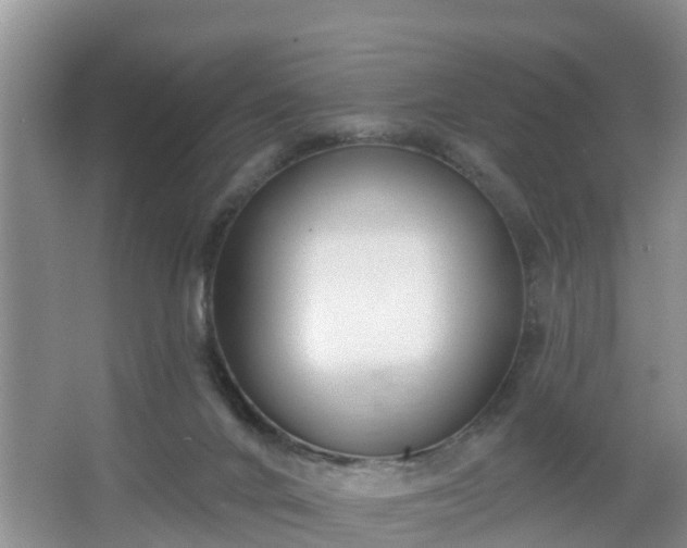 X0000067330024200604071337