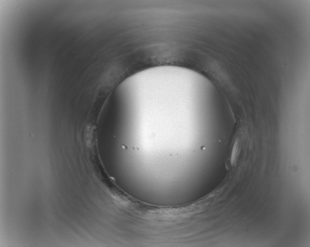 X0000067330025200604071337