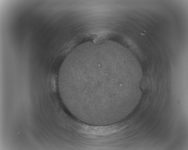 X0000067330026200604071337