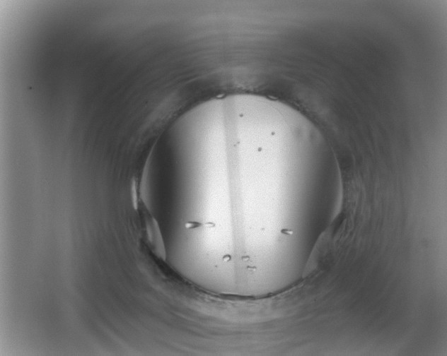 X0000067330027200604071337