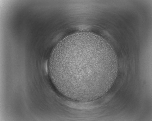 X0000067330028200604071337