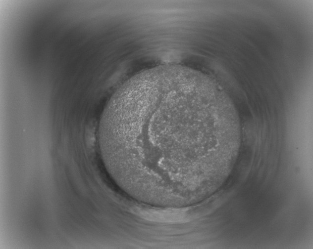 X0000067330032200604071337