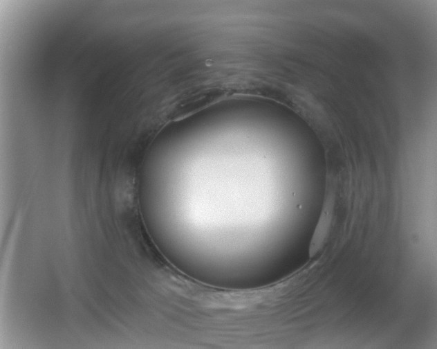 X0000067330033200604071337