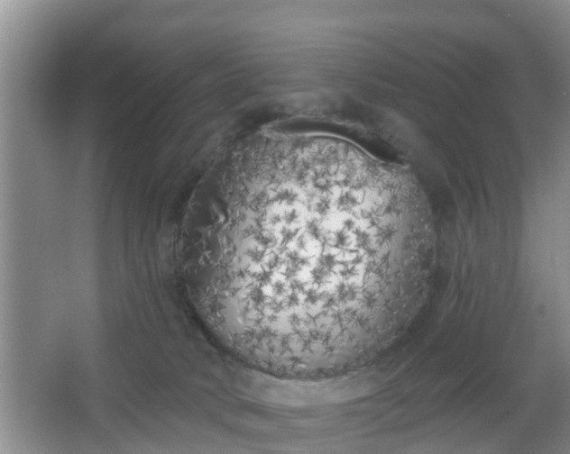 X0000067330034200604071337