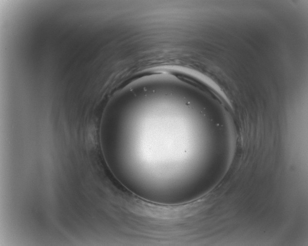 X0000067330035200604071337