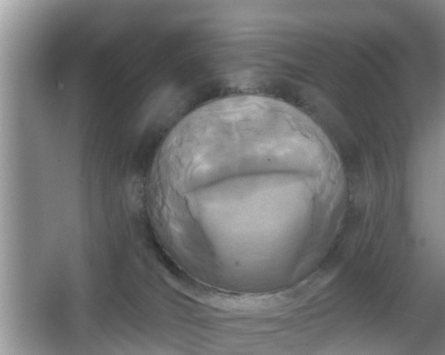 X0000067330036200604071337