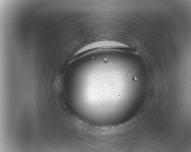 X0000067330037200604071337