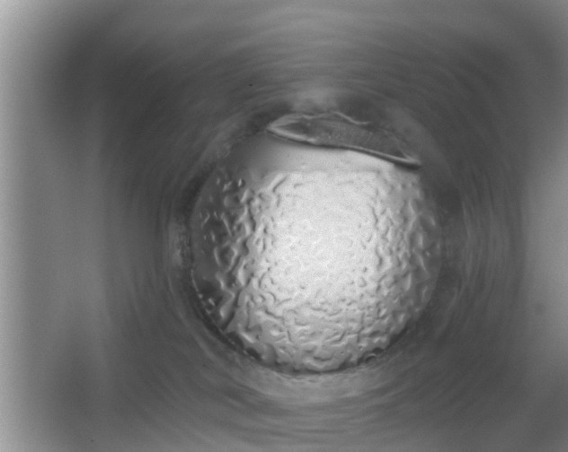 X0000067330038200604071337