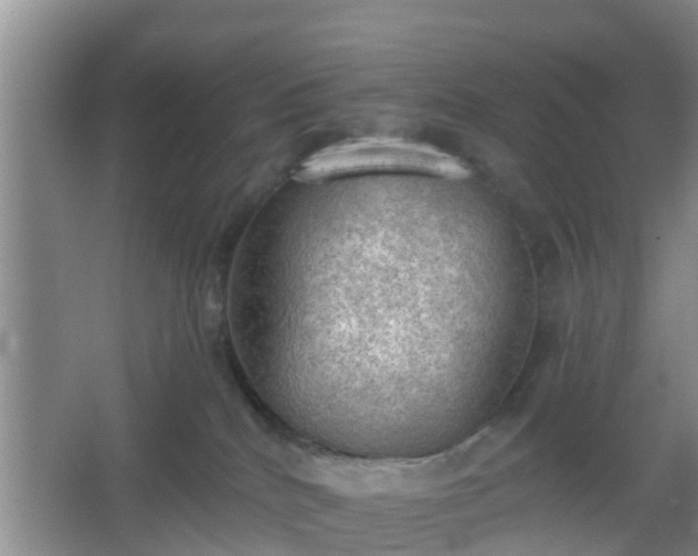 X0000067330040200604071337