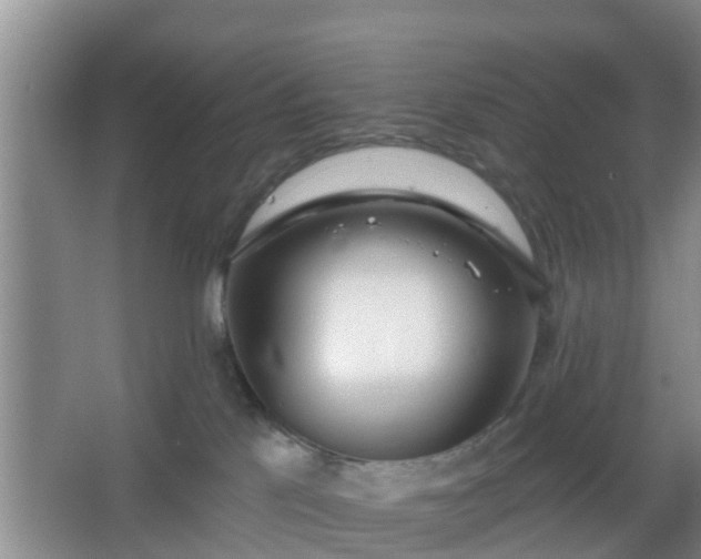 X0000067330041200604071337