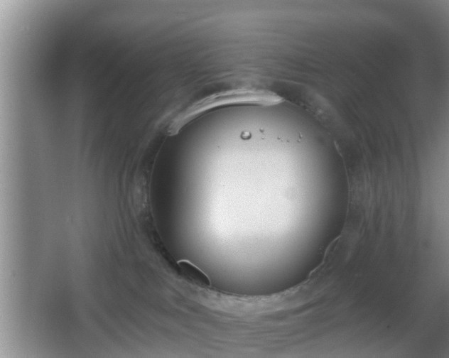 X0000067330043200604071337