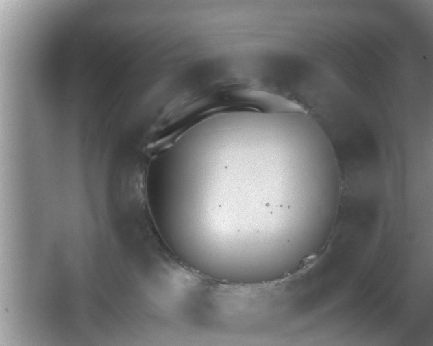 X0000067330045200604071336