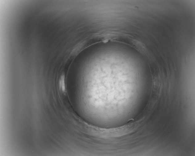 X0000067330046200604071336