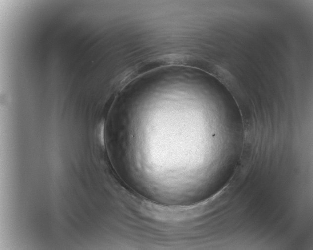 X0000067330047200604071336