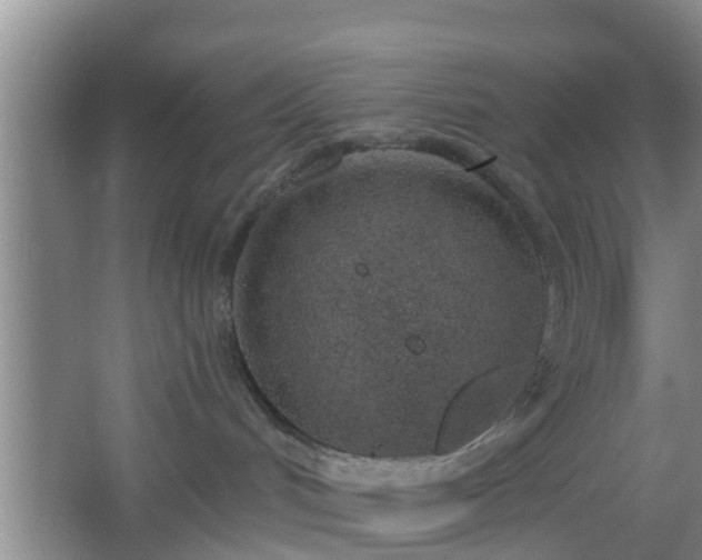 X0000067330048200604071336