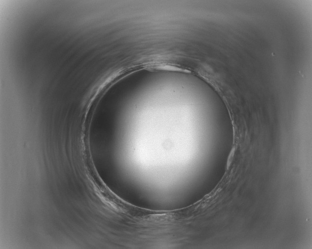 X0000067330050200604071336