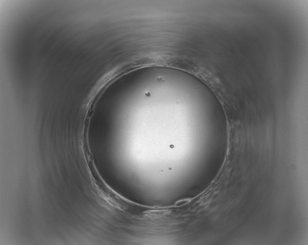 X0000067330051200604071336