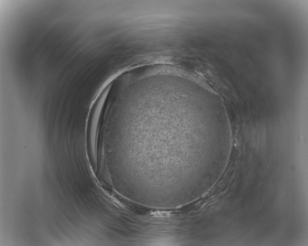 X0000067330052200604071336