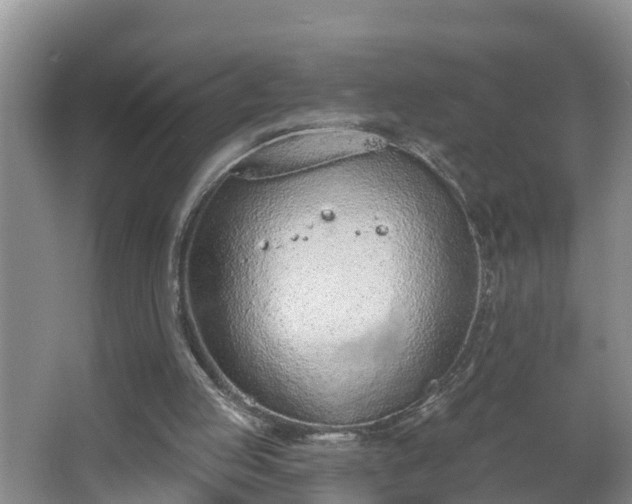 X0000067330053200604071336