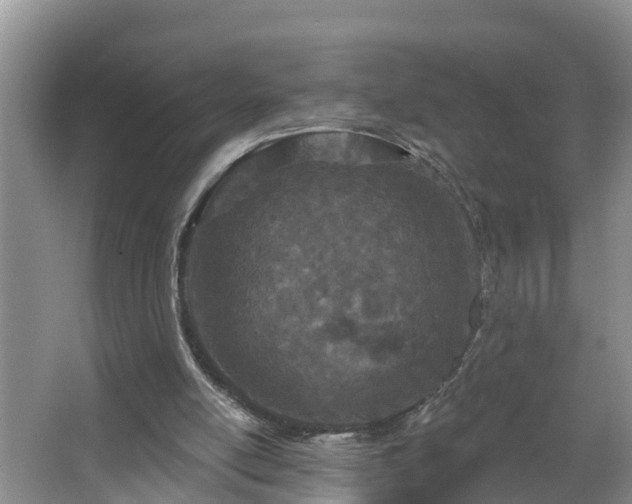 X0000067330054200604071336