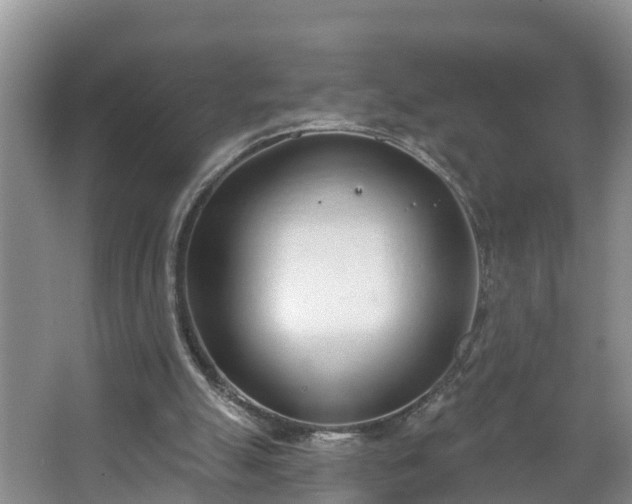 X0000067330055200604071336