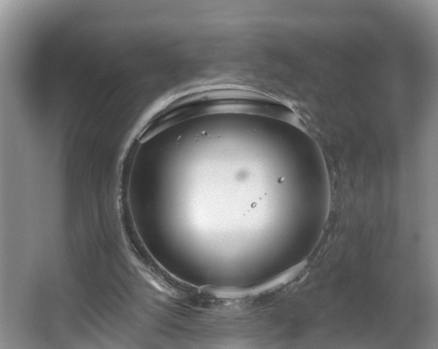 X0000067330056200604071336