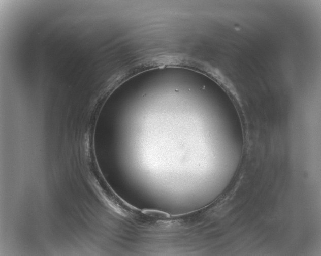 X0000067330057200604071336