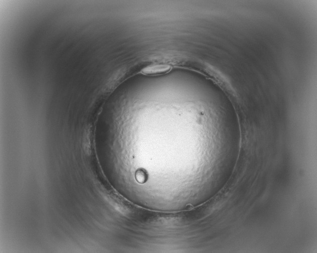 X0000067330065200604071336