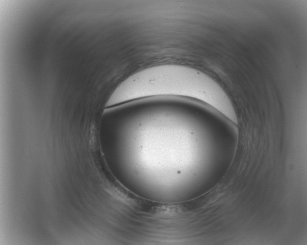 X0000067330077200604071336