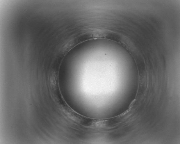 X0000067330078200604071336